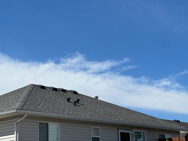 Best Roof Moss and Algae Removal  in Harrisburg, SD